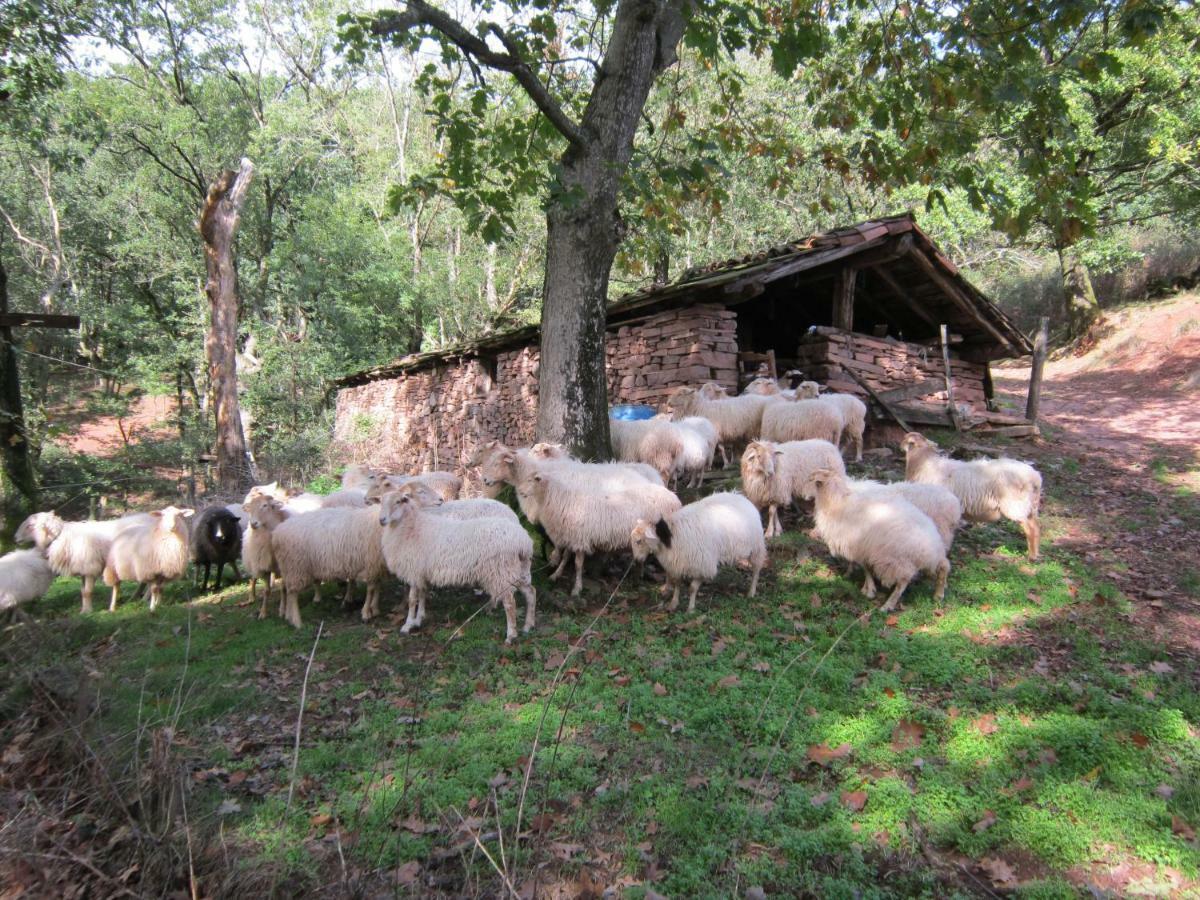 Casa Rural Lakoizketa Legasa Exterior foto